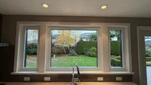 Window Replacement